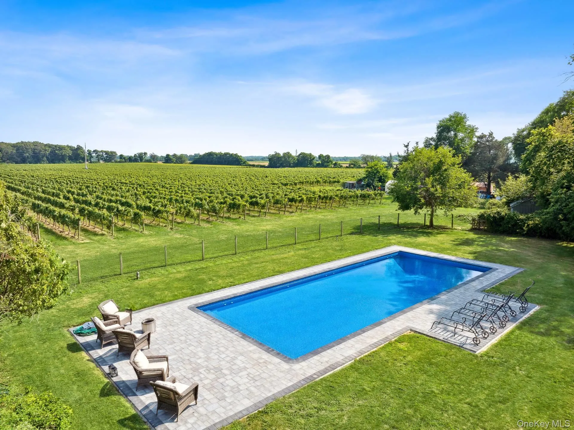 Pool with vineyard view Pool with vineyard view