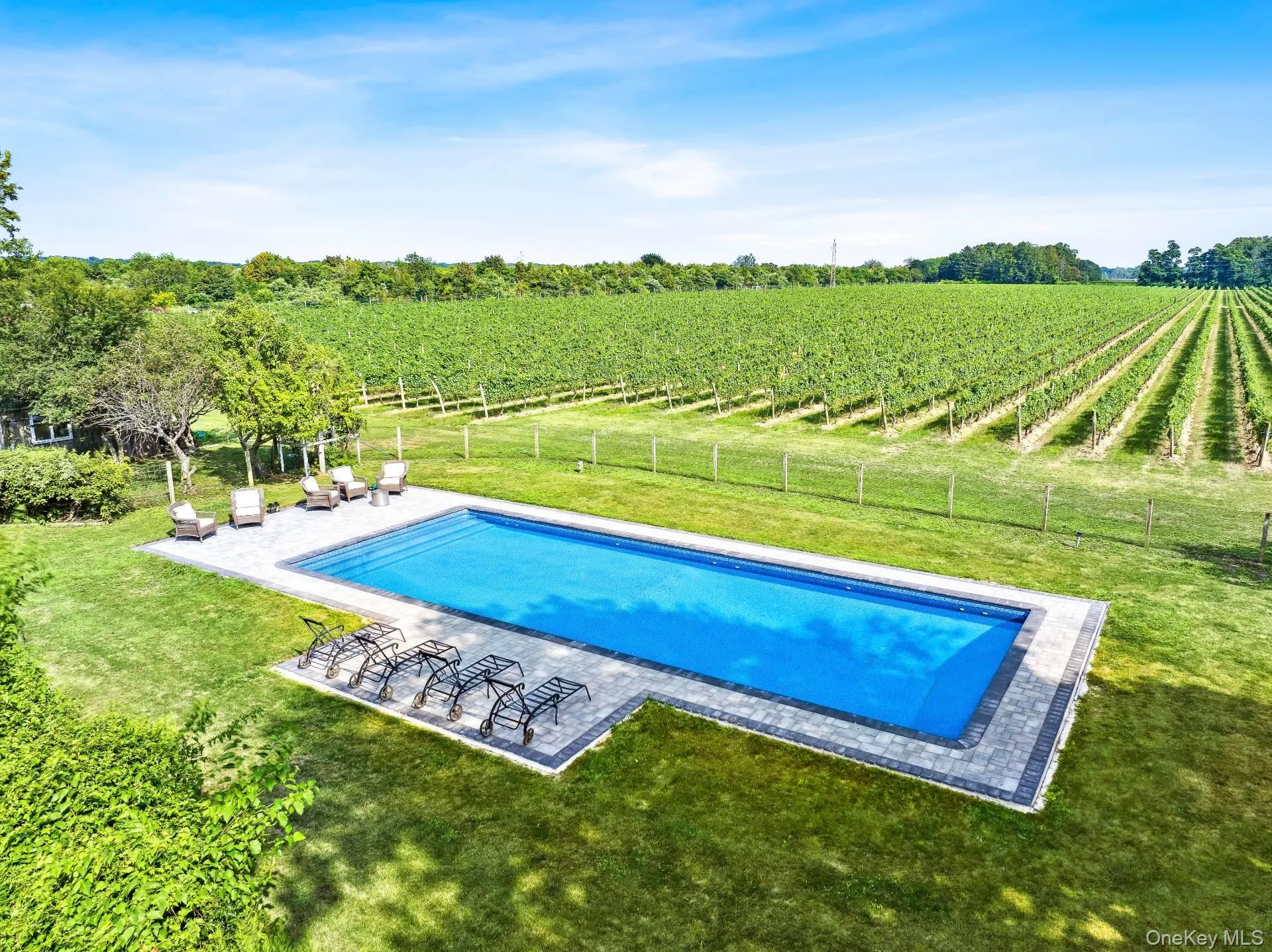 Pool with vineyard view Pool with vineyard view