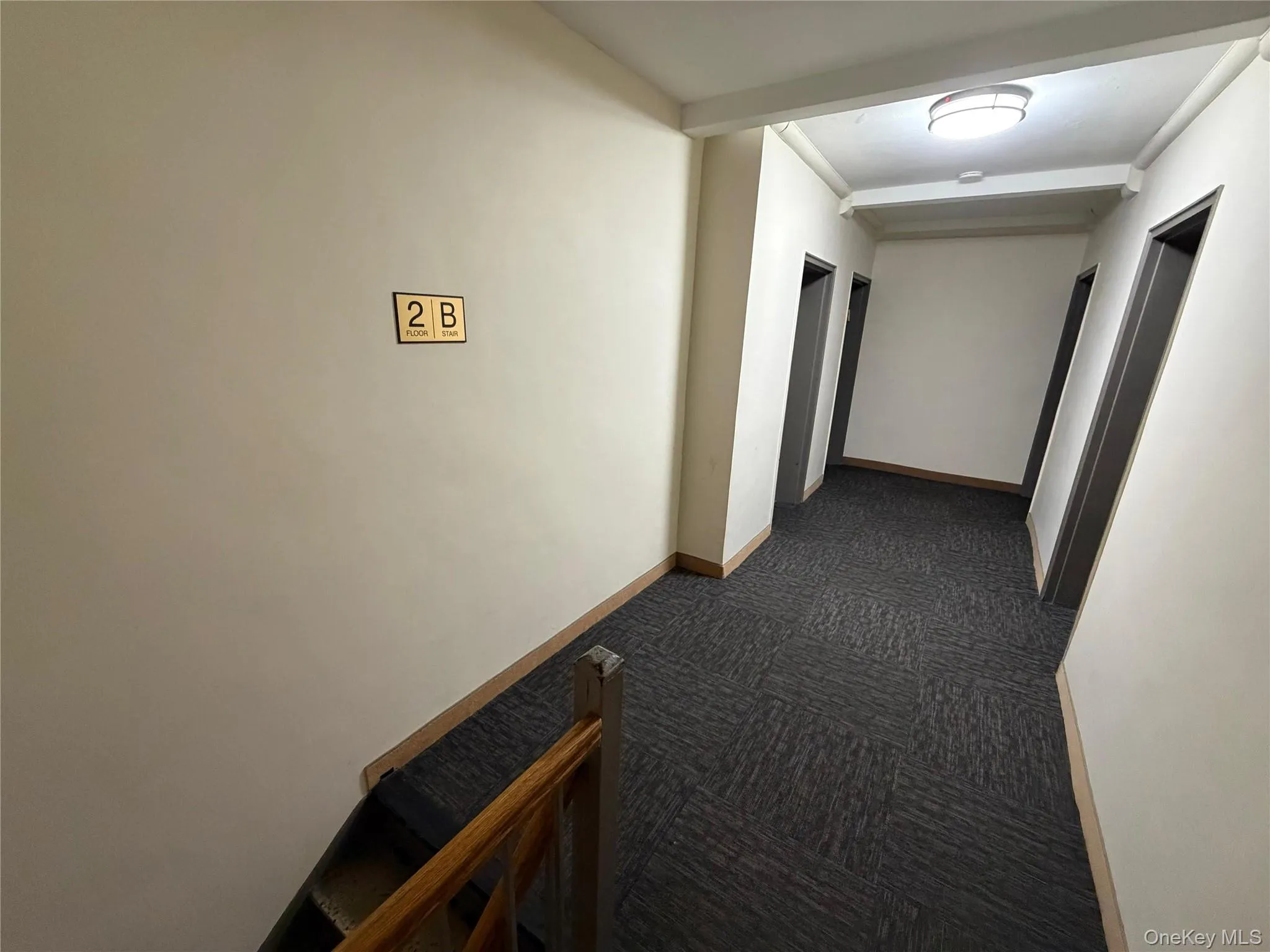 99-63 66th Avenue, New York, NY, 2 Bedrooms Bedrooms, 4 Rooms Rooms,1 BathroomBathrooms,Residential,For Rent,66th,0,952219 99-63 66th Avenue, New York, NY, 2 Bedrooms Bedrooms, 4 Rooms Rooms,1 BathroomBathrooms,Residential,For Rent,66th,0,952219