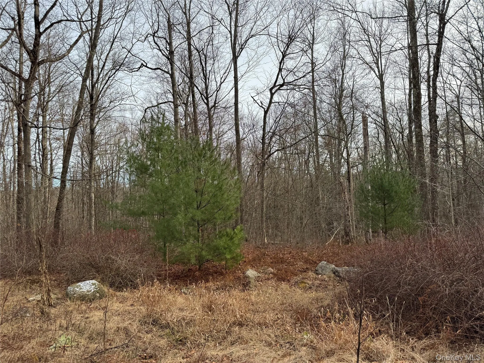 Hilltop Road, Thompson, NY, ,Land,For Rent,Hilltop,0,952258 Hilltop Road, Thompson, NY, ,Land,For Rent,Hilltop,0,952258