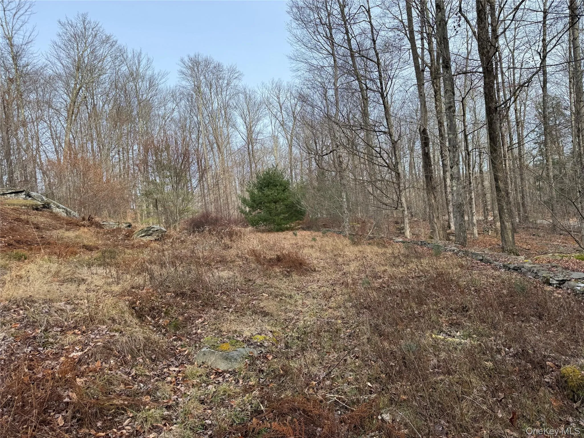 Hilltop Road, Thompson, NY, ,Land,For Rent,Hilltop,0,952258 Hilltop Road, Thompson, NY, ,Land,For Rent,Hilltop,0,952258