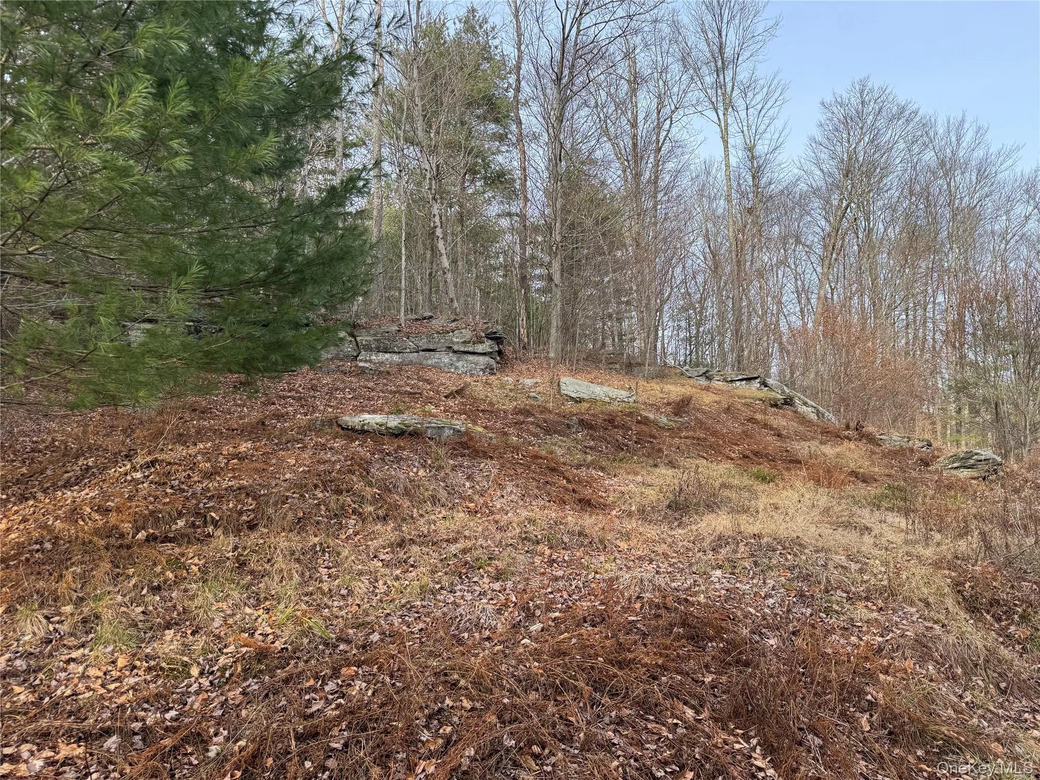 Hilltop Road, Thompson, NY, ,Land,For Rent,Hilltop,0,952258 Hilltop Road, Thompson, NY, ,Land,For Rent,Hilltop,0,952258