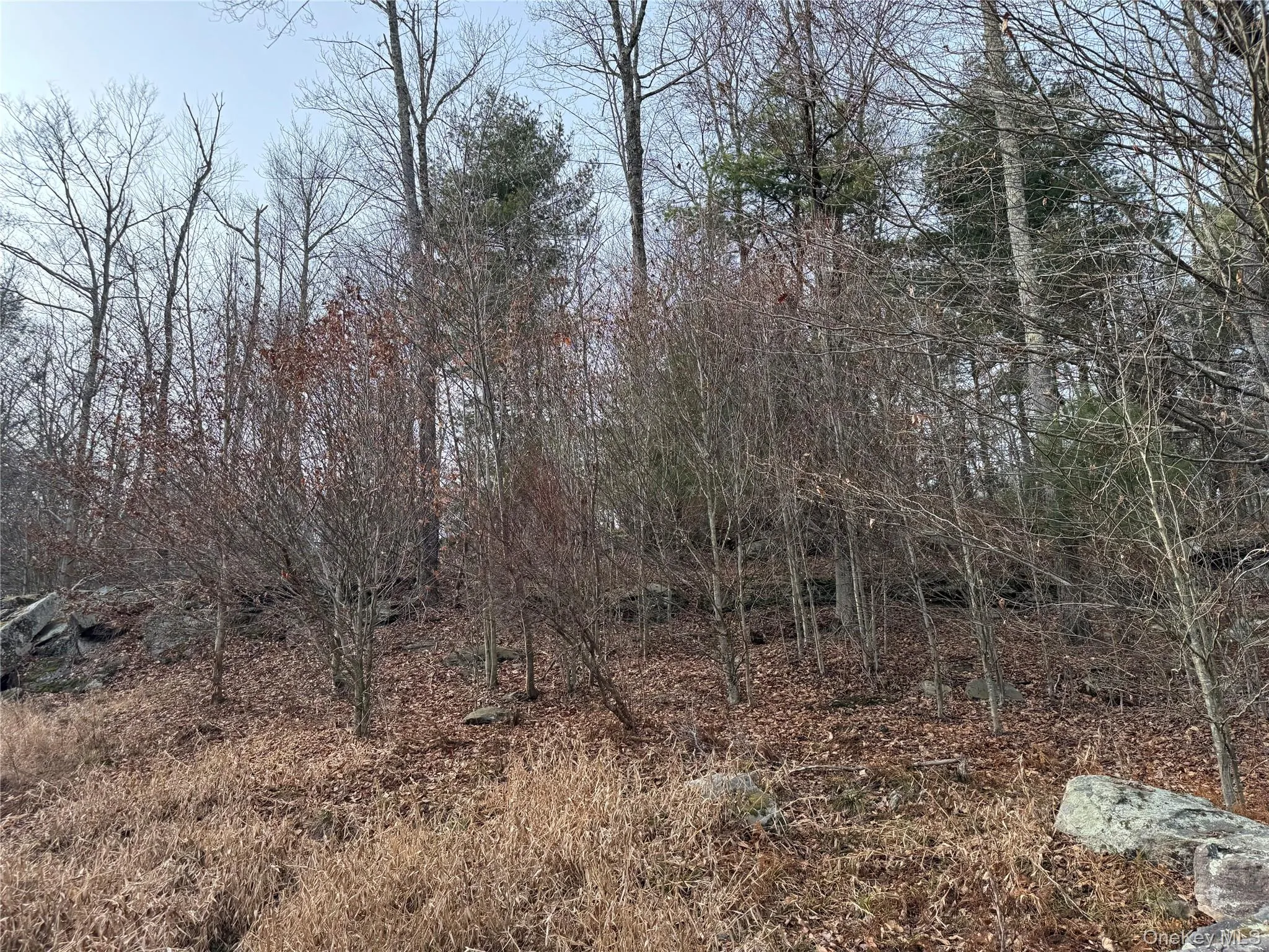 Hilltop Road, Thompson, NY, ,Land,For Rent,Hilltop,0,952258 Hilltop Road, Thompson, NY, ,Land,For Rent,Hilltop,0,952258