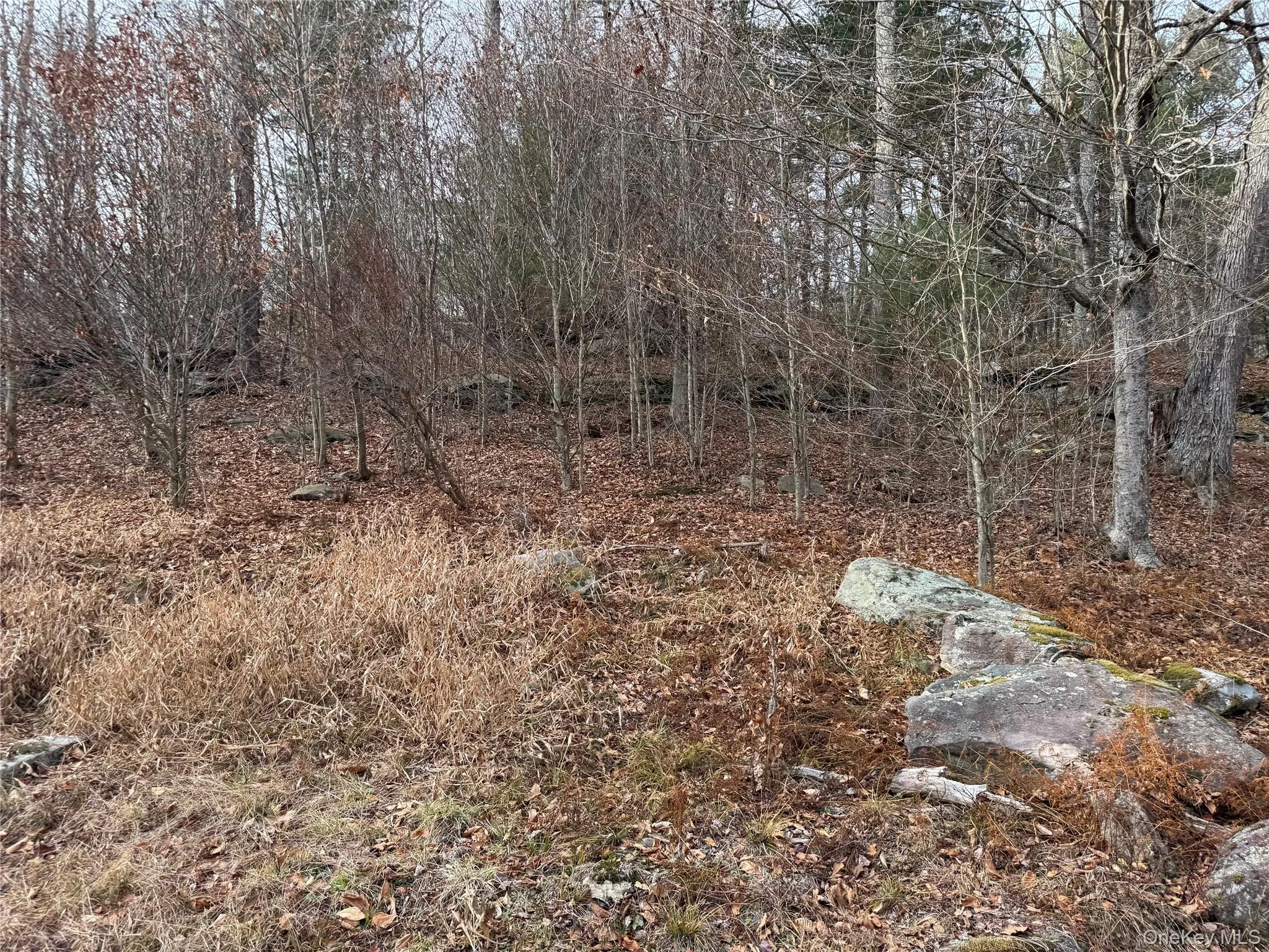 Hilltop Road, Thompson, NY, ,Land,For Rent,Hilltop,0,952258 Hilltop Road, Thompson, NY, ,Land,For Rent,Hilltop,0,952258