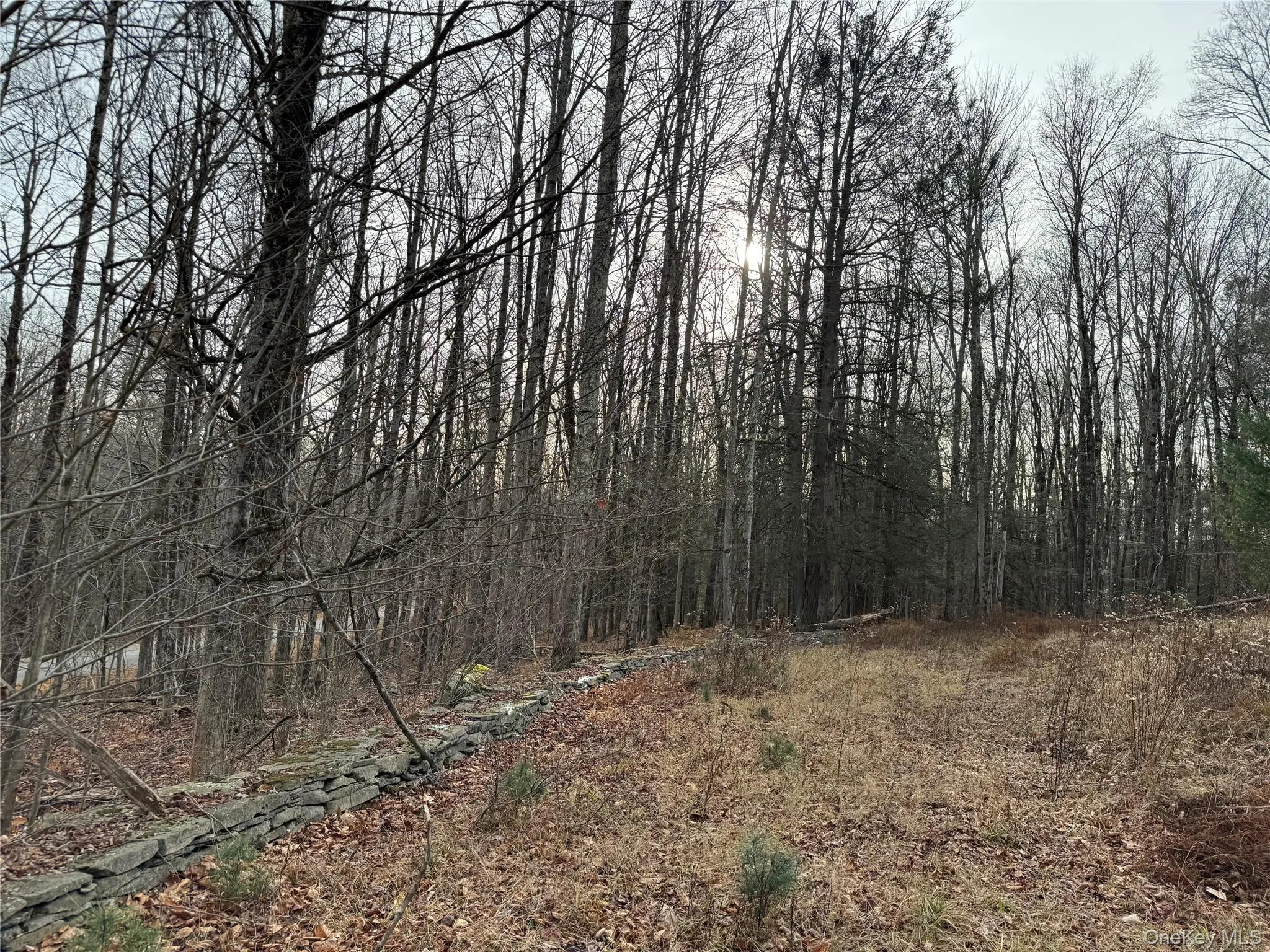Hilltop Road, Thompson, NY, ,Land,For Rent,Hilltop,0,952258 Hilltop Road, Thompson, NY, ,Land,For Rent,Hilltop,0,952258