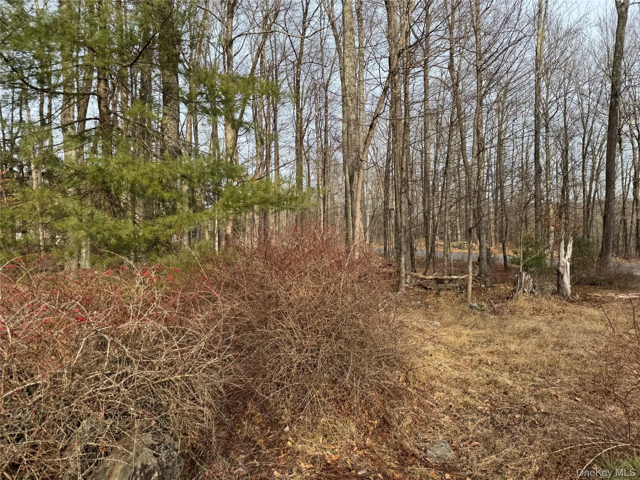 Hilltop Road, Thompson, NY, ,Land,For Rent,Hilltop,0,952258 Hilltop Road, Thompson, NY, ,Land,For Rent,Hilltop,0,952258