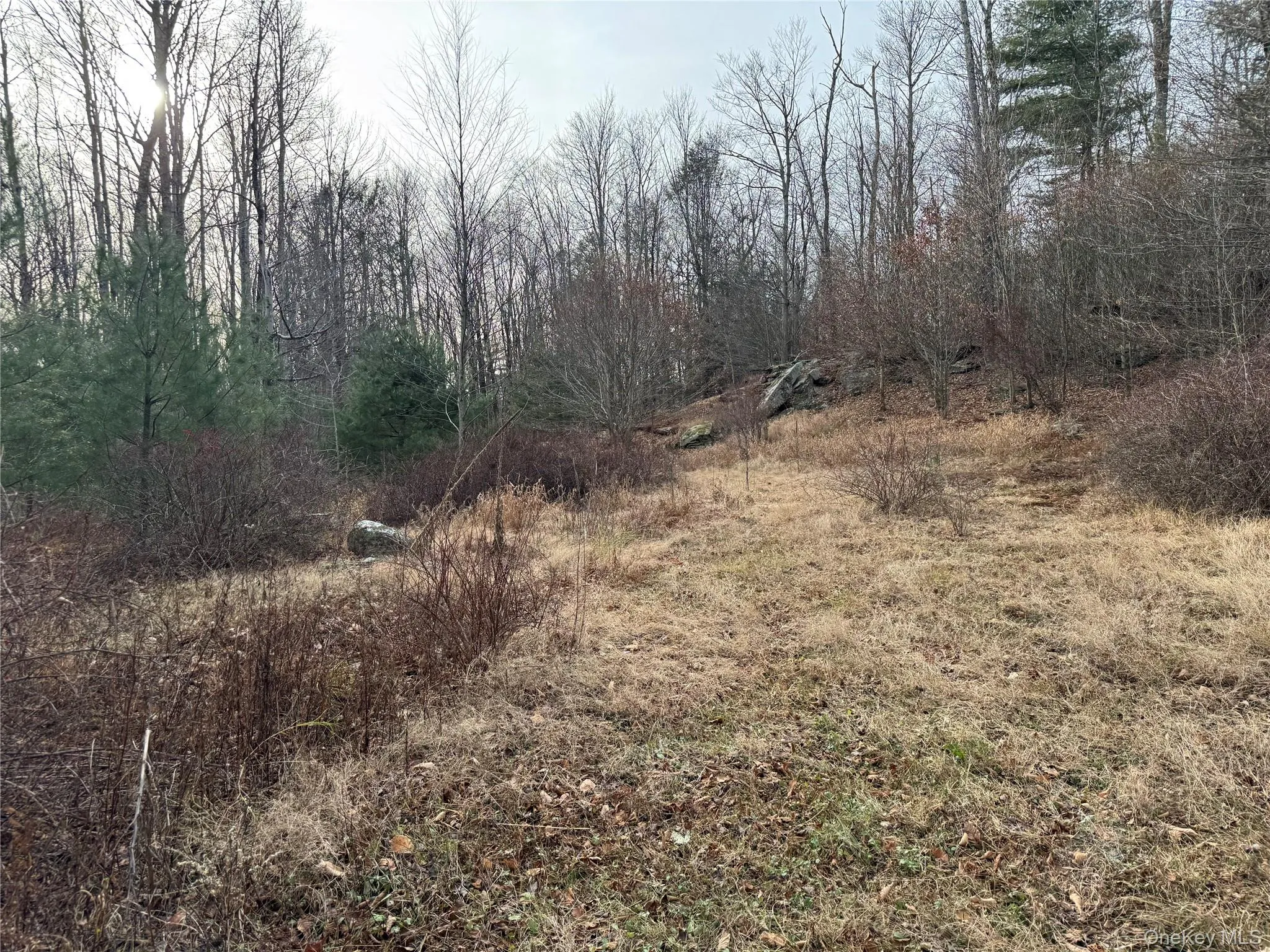 Hilltop Road, Thompson, NY, ,Land,For Rent,Hilltop,0,952258 Hilltop Road, Thompson, NY, ,Land,For Rent,Hilltop,0,952258