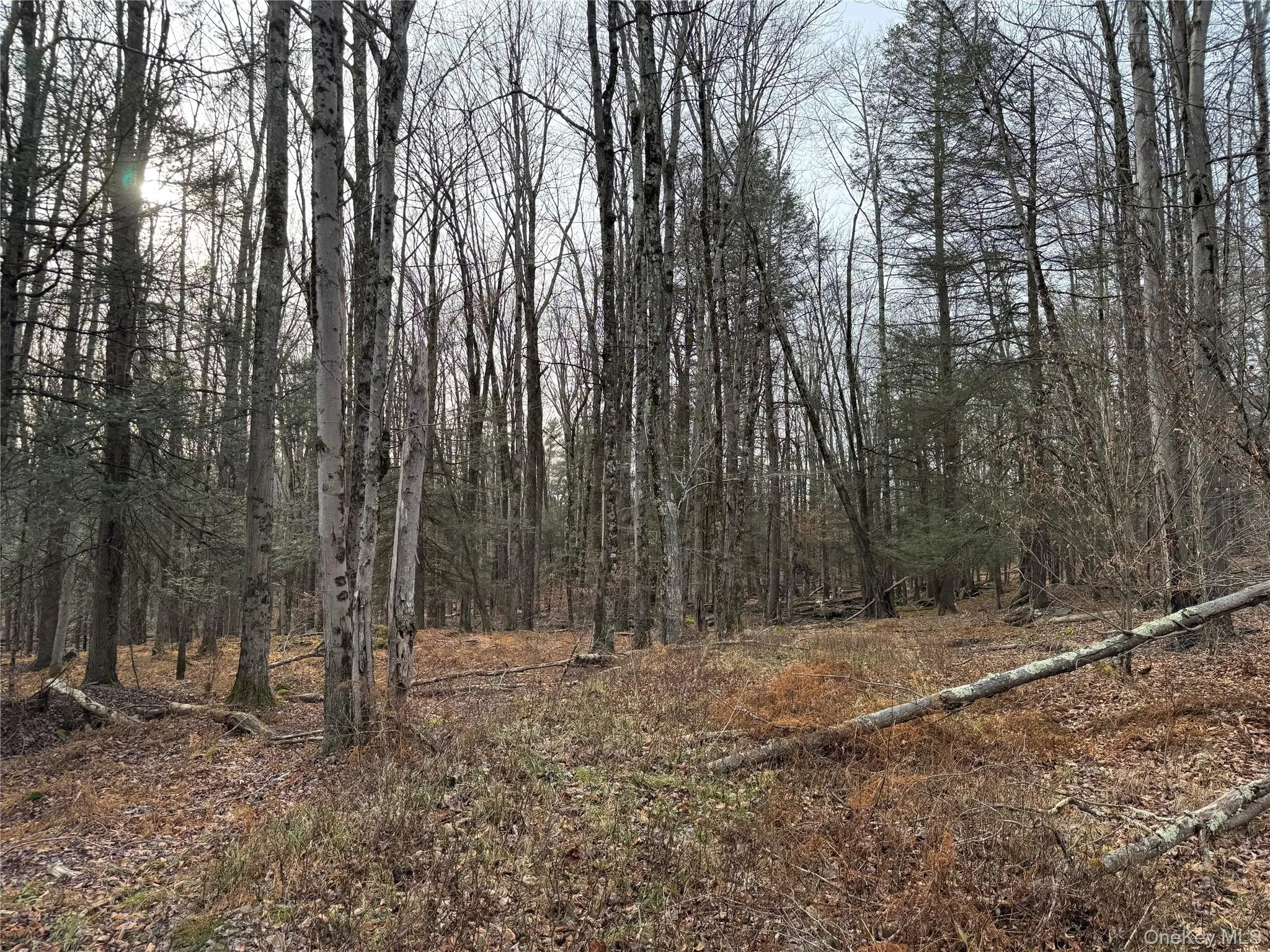 Hilltop Road, Thompson, NY, ,Land,For Rent,Hilltop,0,952258 Hilltop Road, Thompson, NY, ,Land,For Rent,Hilltop,0,952258