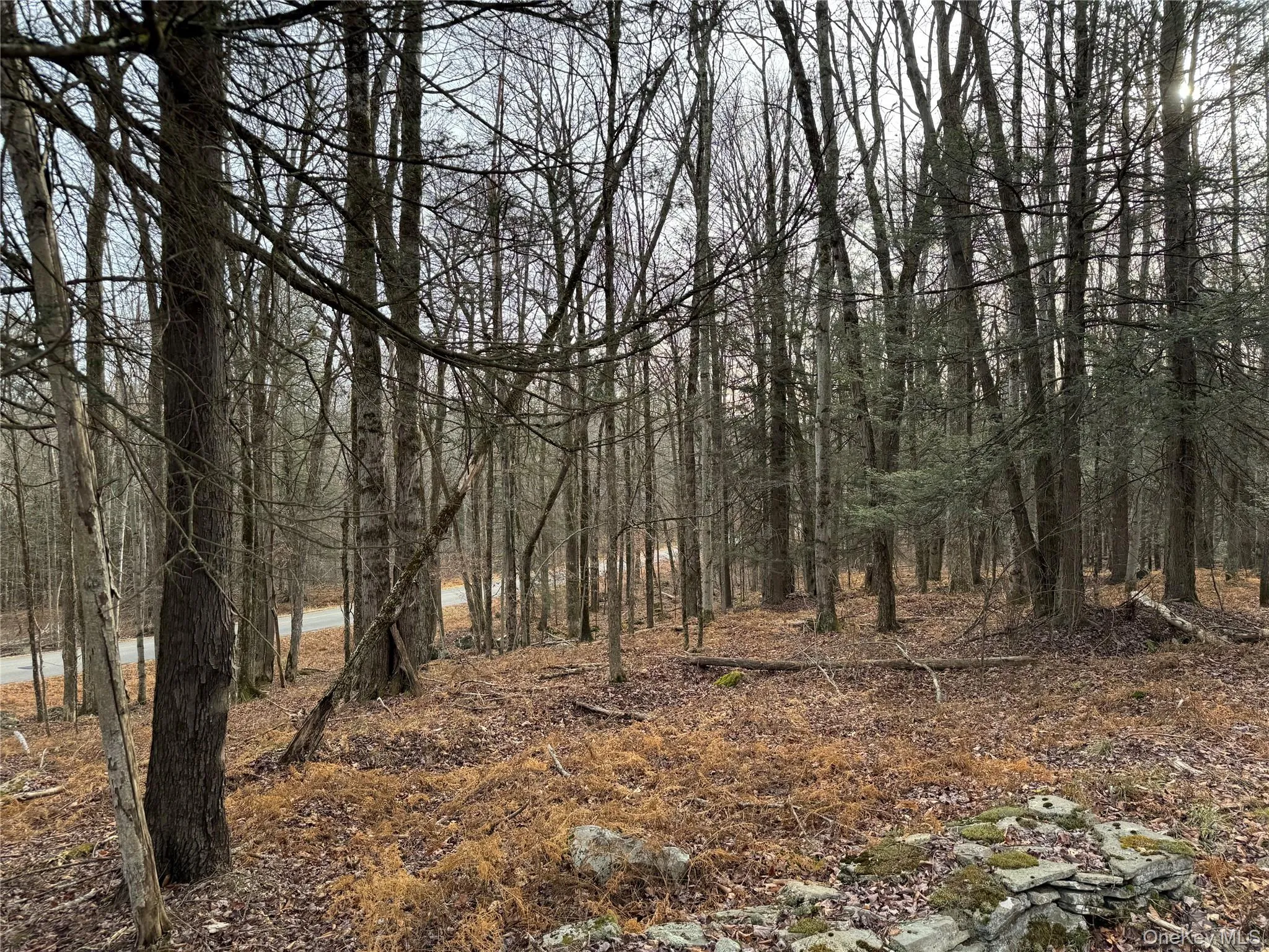 Hilltop Road, Thompson, NY, ,Land,For Rent,Hilltop,0,952258 Hilltop Road, Thompson, NY, ,Land,For Rent,Hilltop,0,952258