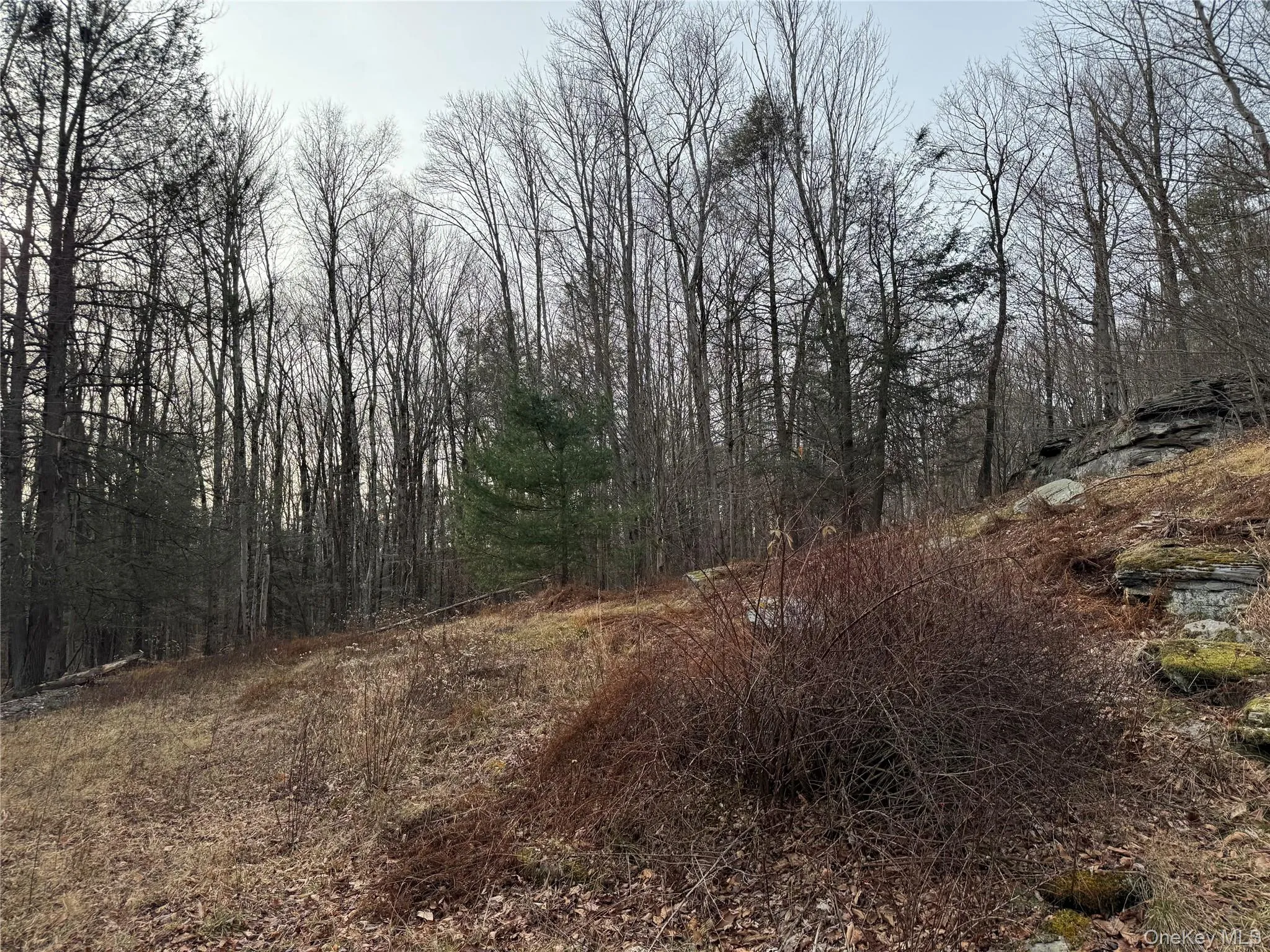 Hilltop Road, Thompson, NY, ,Land,For Rent,Hilltop,0,952258 Hilltop Road, Thompson, NY, ,Land,For Rent,Hilltop,0,952258