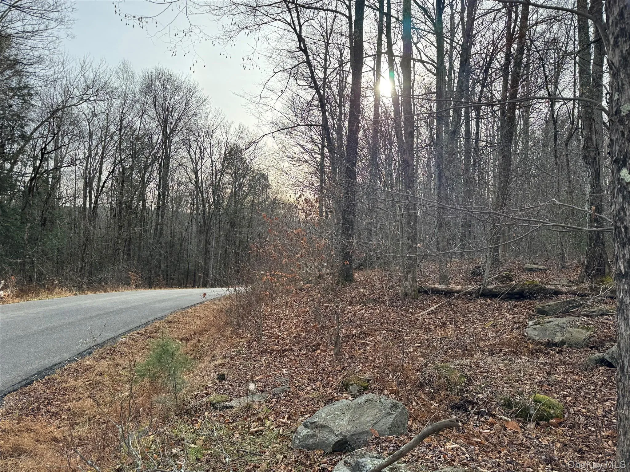 Hilltop Road, Thompson, NY, ,Land,For Rent,Hilltop,0,952258 Hilltop Road, Thompson, NY, ,Land,For Rent,Hilltop,0,952258