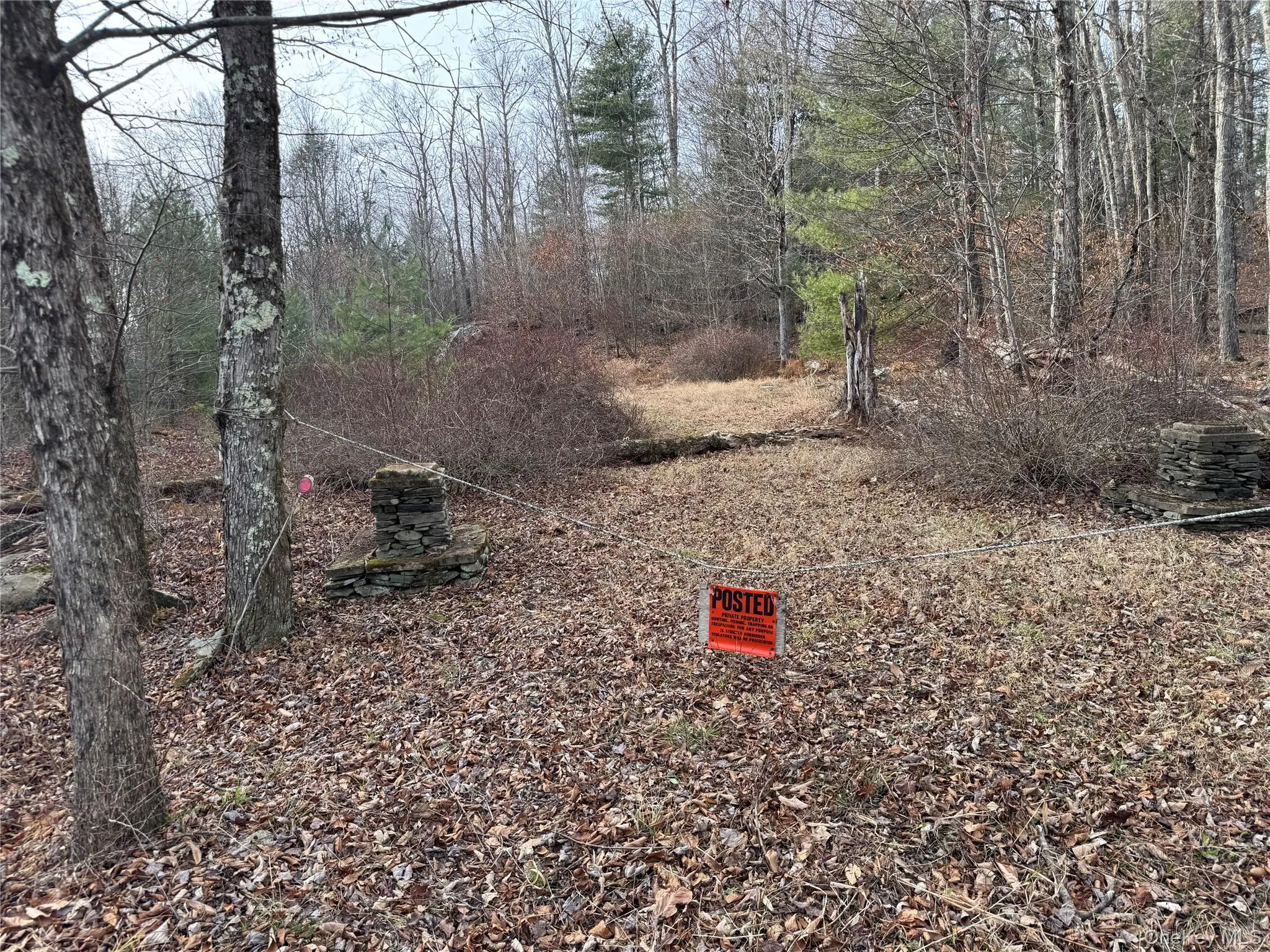 Hilltop Road, Thompson, NY, ,Land,For Rent,Hilltop,0,952258 Hilltop Road, Thompson, NY, ,Land,For Rent,Hilltop,0,952258