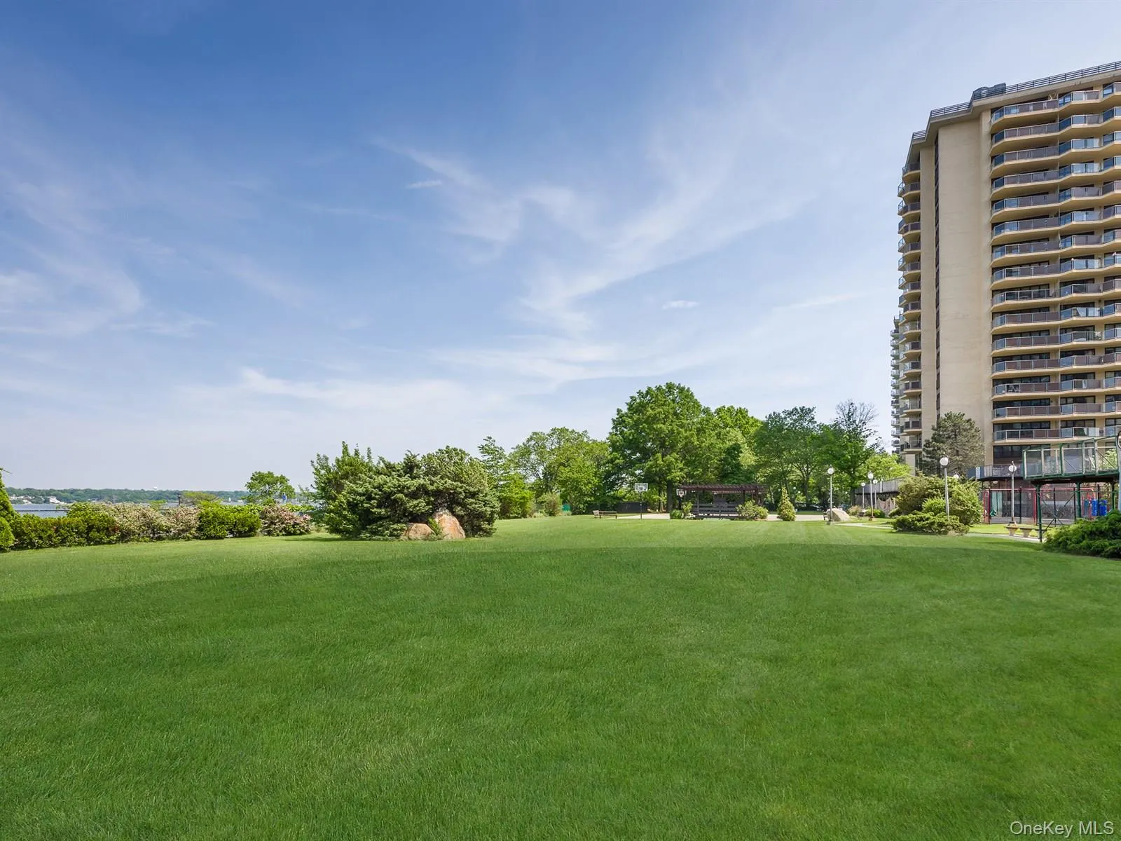 Common Grounds Common Grounds