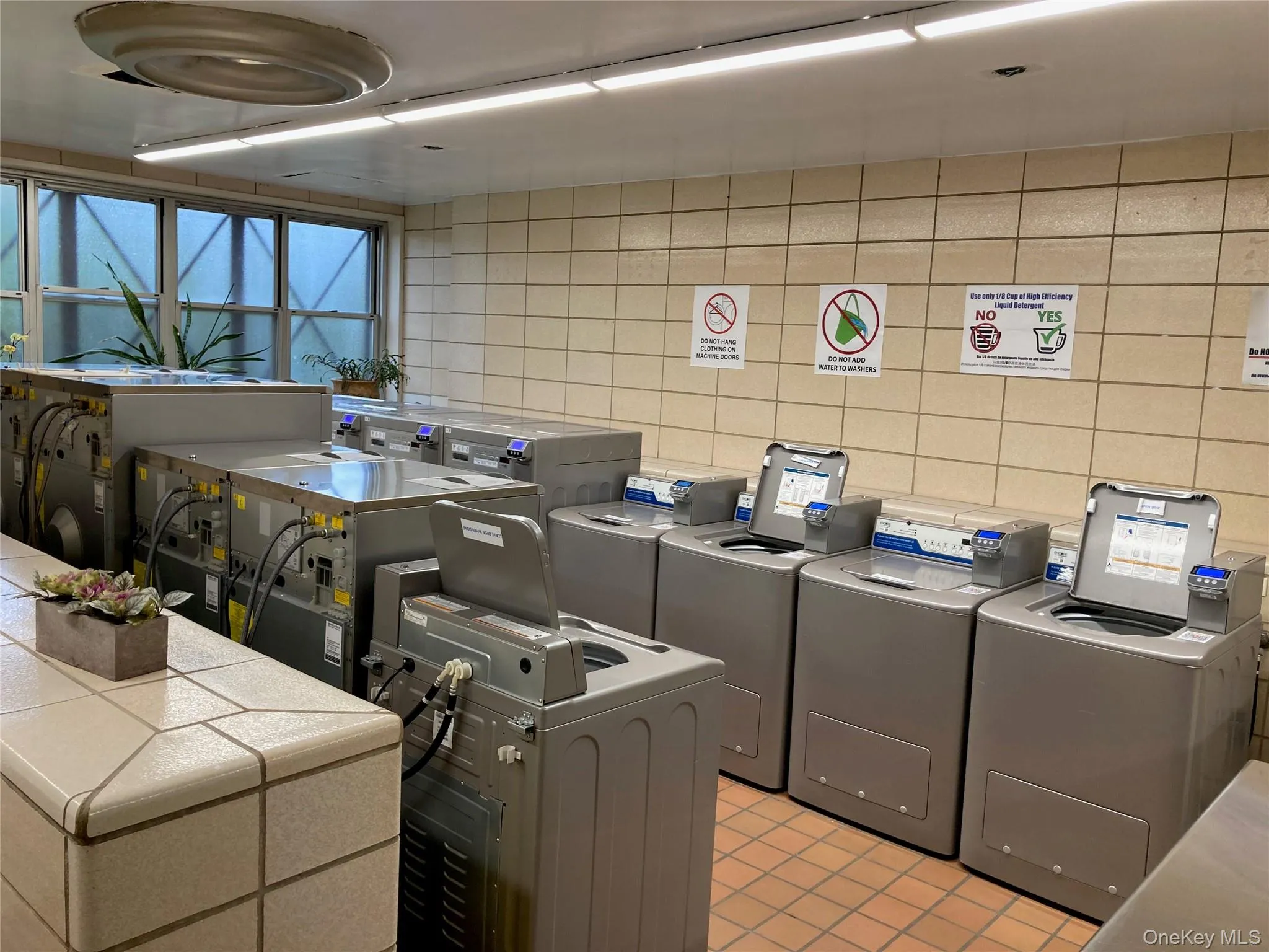 Laundry Laundry