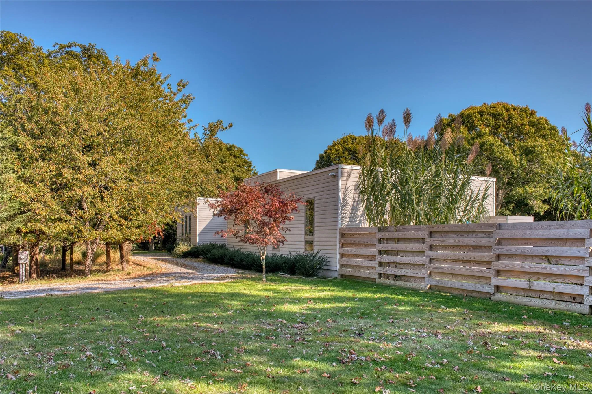 View of yard View of yard