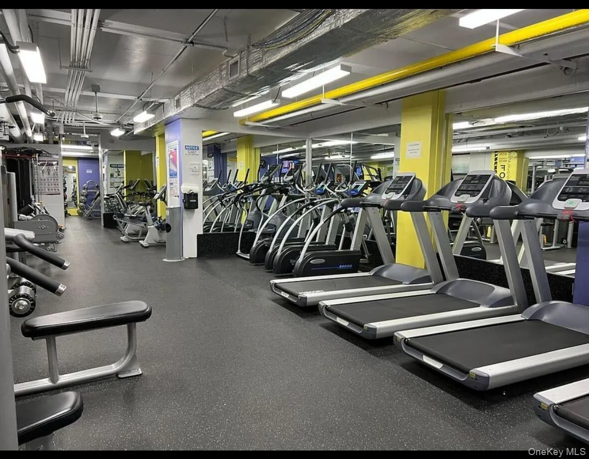 99-60 63 Road, New York, NY, 2 Bedrooms Bedrooms, 4 Rooms Rooms,1 BathroomBathrooms,Residential,For Rent,63,0,952408 99-60 63 Road, New York, NY, 2 Bedrooms Bedrooms, 4 Rooms Rooms,1 BathroomBathrooms,Residential,For Rent,63,0,952408