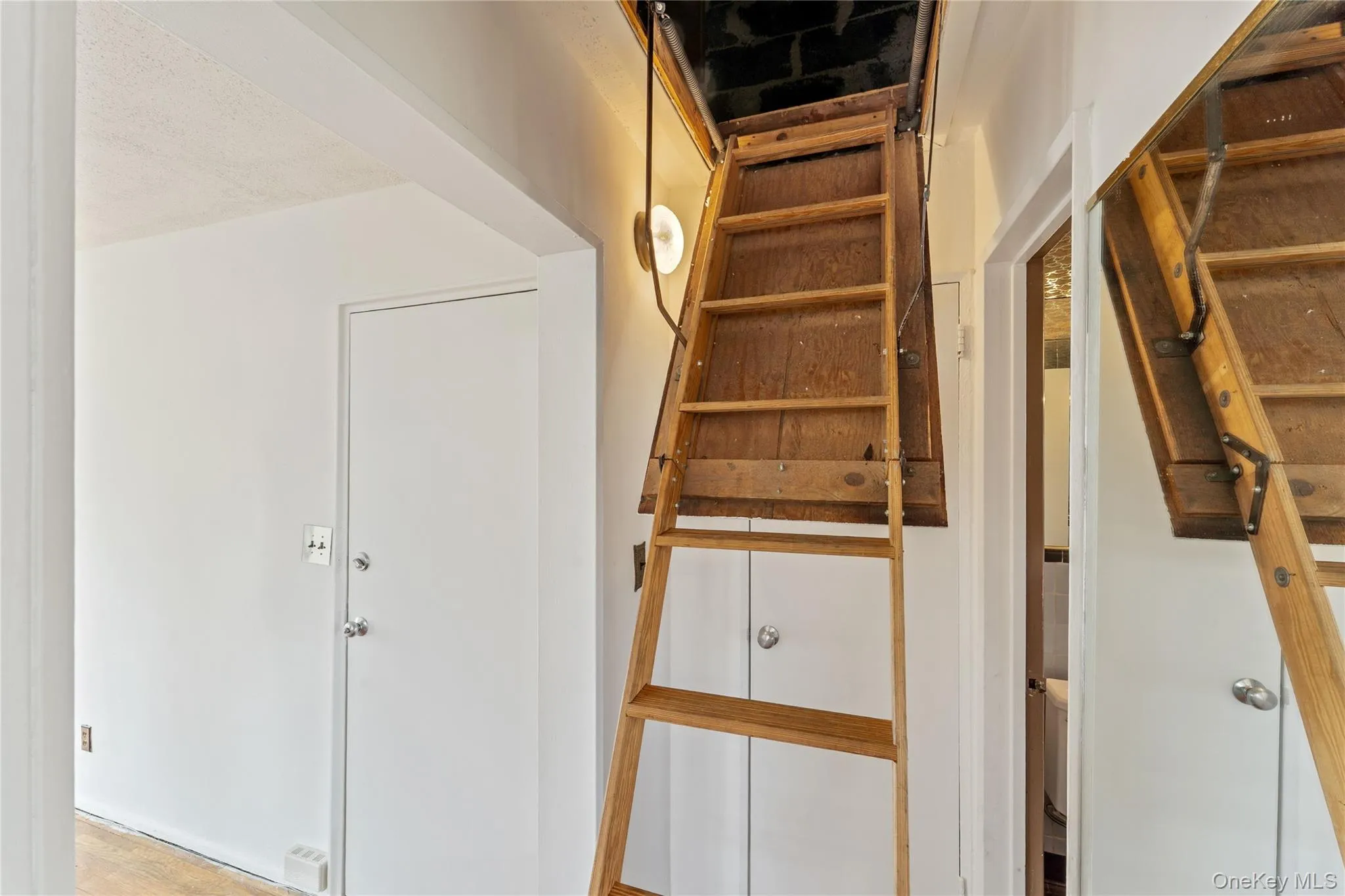 249-36 63rd Avenue, New York, NY, 1 Bedroom Bedrooms, 4 Rooms Rooms,1 BathroomBathrooms,Residential,For Rent,63rd Avenue,0,952453 249-36 63rd Avenue, New York, NY, 1 Bedroom Bedrooms, 4 Rooms Rooms,1 BathroomBathrooms,Residential,For Rent,63rd Avenue,0,952453