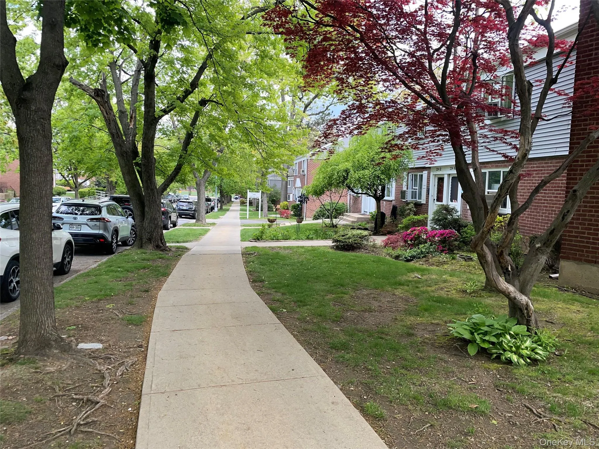224-04 Manor Road, New York, NY, 2 Bedrooms Bedrooms, 5 Rooms Rooms,1 BathroomBathrooms,Residential,For Rent,Manor,0,952468 224-04 Manor Road, New York, NY, 2 Bedrooms Bedrooms, 5 Rooms Rooms,1 BathroomBathrooms,Residential,For Rent,Manor,0,952468