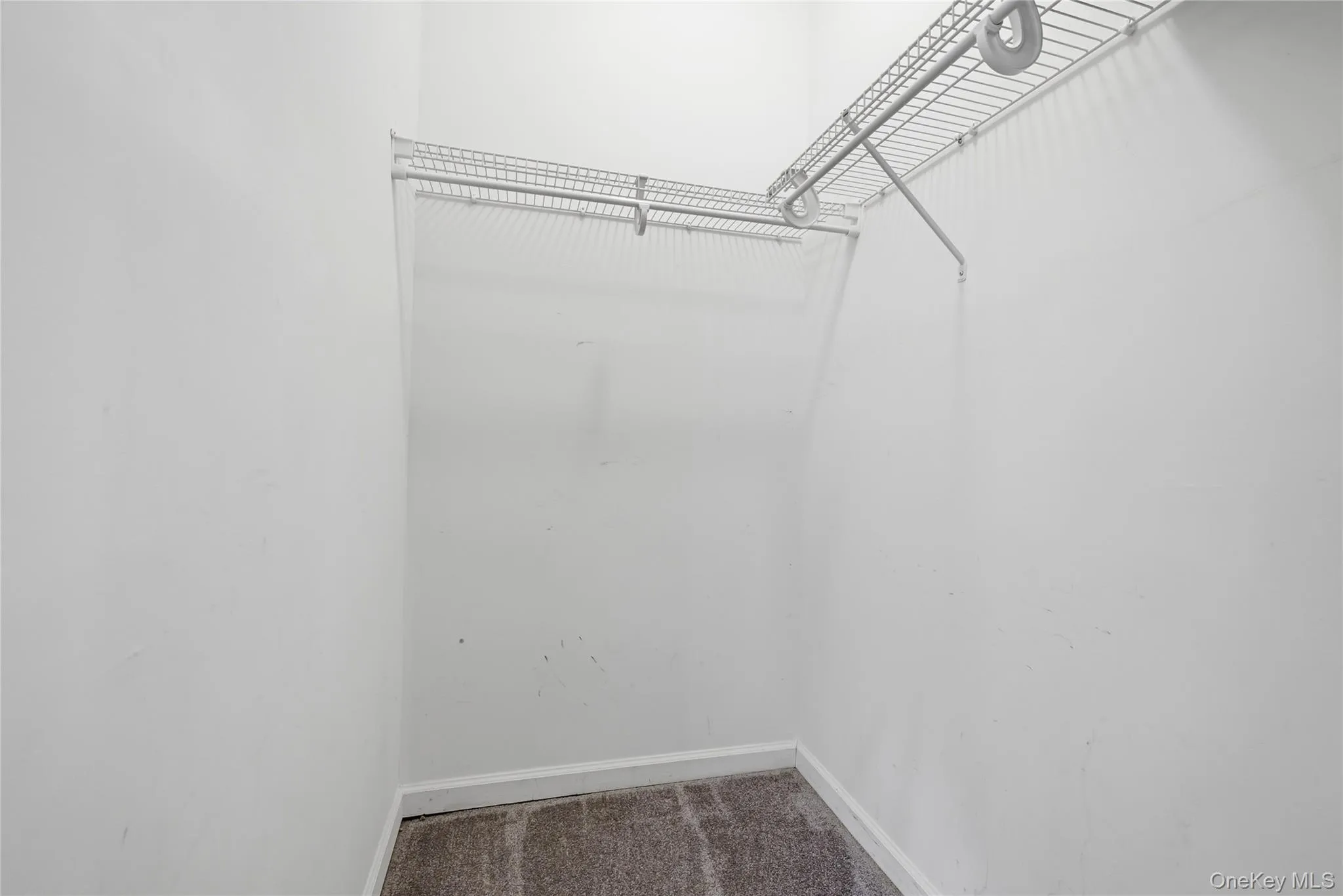 9 Shelly Lane, Brookhaven, NY, 2 Bedrooms Bedrooms, 10 Rooms Rooms,2 BathroomsBathrooms,Residential Lease,For Rent,Shelly,0,952488 9 Shelly Lane, Brookhaven, NY, 2 Bedrooms Bedrooms, 10 Rooms Rooms,2 BathroomsBathrooms,Residential Lease,For Rent,Shelly,0,952488