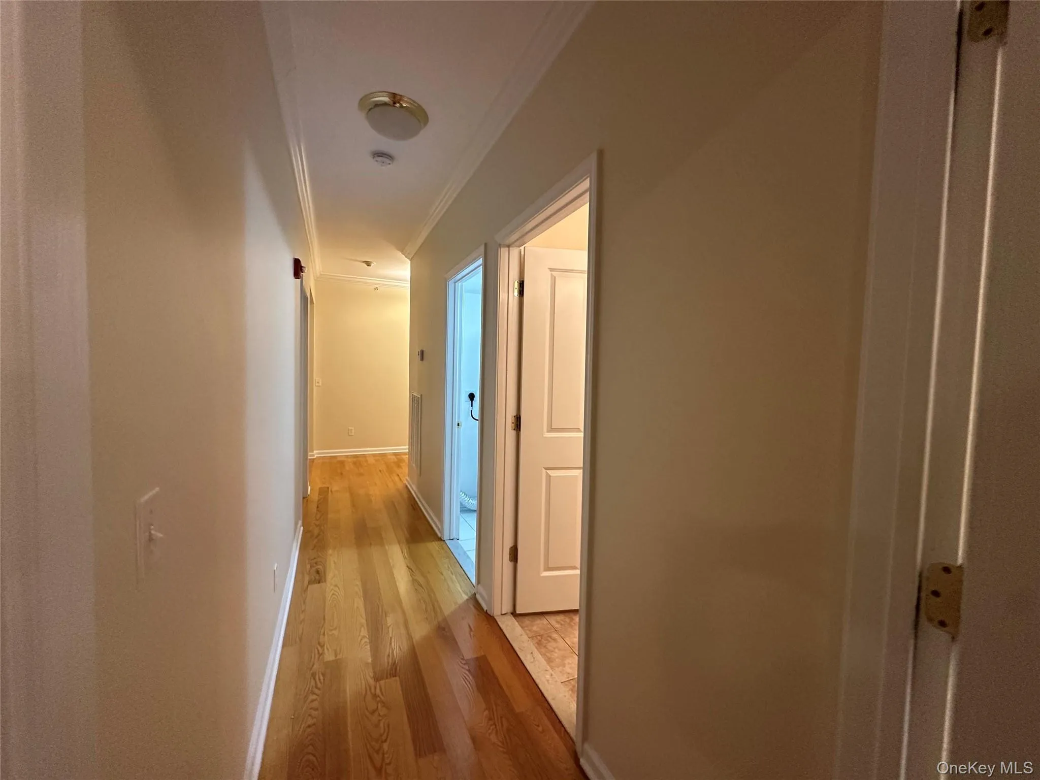75 QUAKER Avenue, Cornwall, NY, 3 Bedrooms Bedrooms, 7 Rooms Rooms,2 BathroomsBathrooms,Residential Lease,Idx,QUAKER,0,952492 75 QUAKER Avenue, Cornwall, NY, 3 Bedrooms Bedrooms, 7 Rooms Rooms,2 BathroomsBathrooms,Residential Lease,Idx,QUAKER,0,952492