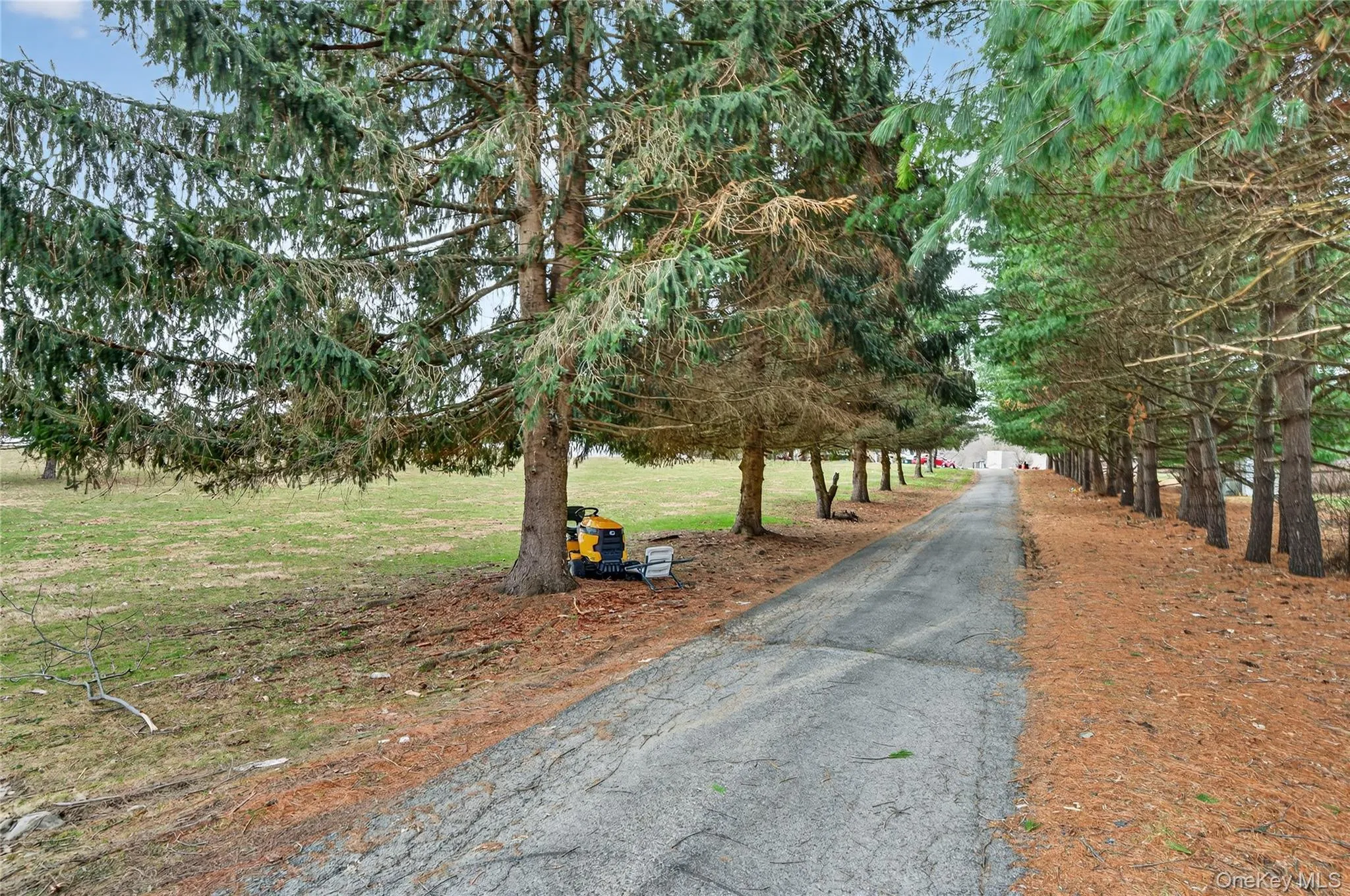 251 Prospect Road, Blooming Grove, NY, 4 Bedrooms Bedrooms, 4 Rooms Rooms,1 BathroomBathrooms,Residential Sale,For Rent,Prospect,0,952551 251 Prospect Road, Blooming Grove, NY, 4 Bedrooms Bedrooms, 4 Rooms Rooms,1 BathroomBathrooms,Residential Sale,For Rent,Prospect,0,952551