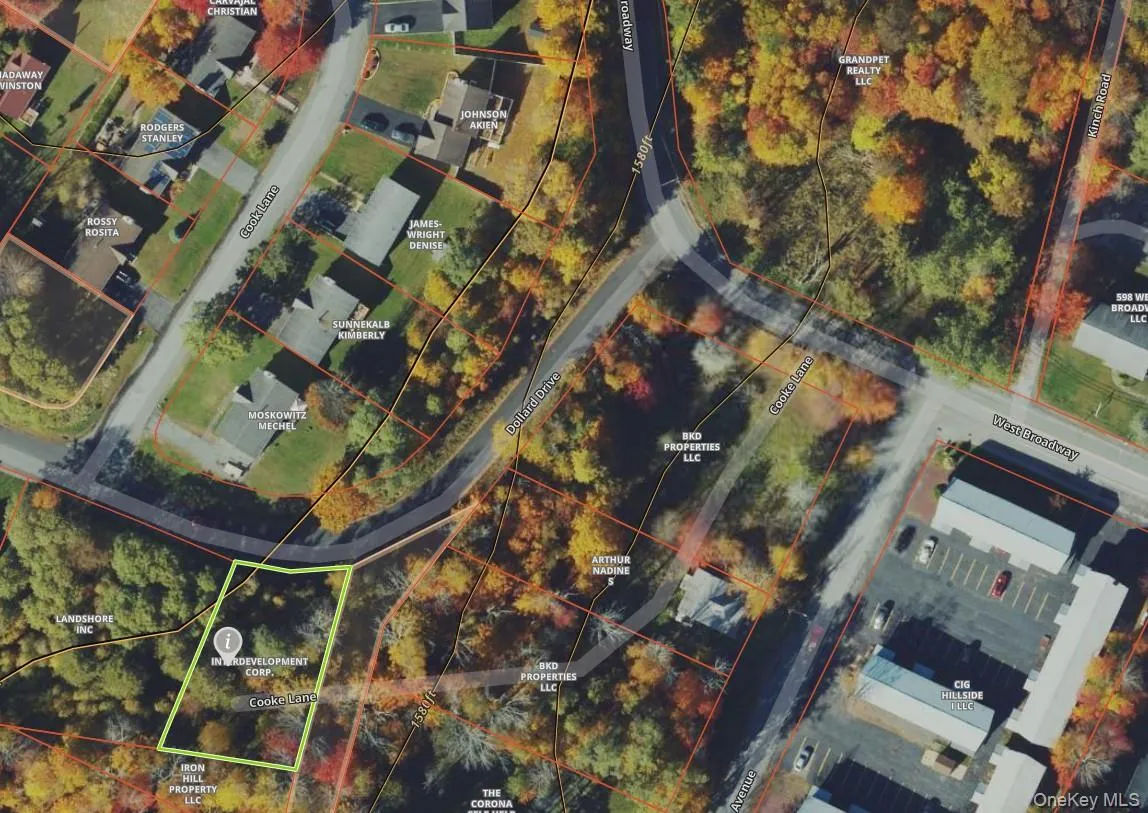 Dollard Drive, Thompson, NY, ,Land,For Rent,Dollard Drive,0,952662 Dollard Drive, Thompson, NY, ,Land,For Rent,Dollard Drive,0,952662
