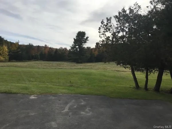 View of grassy yard View of grassy yard