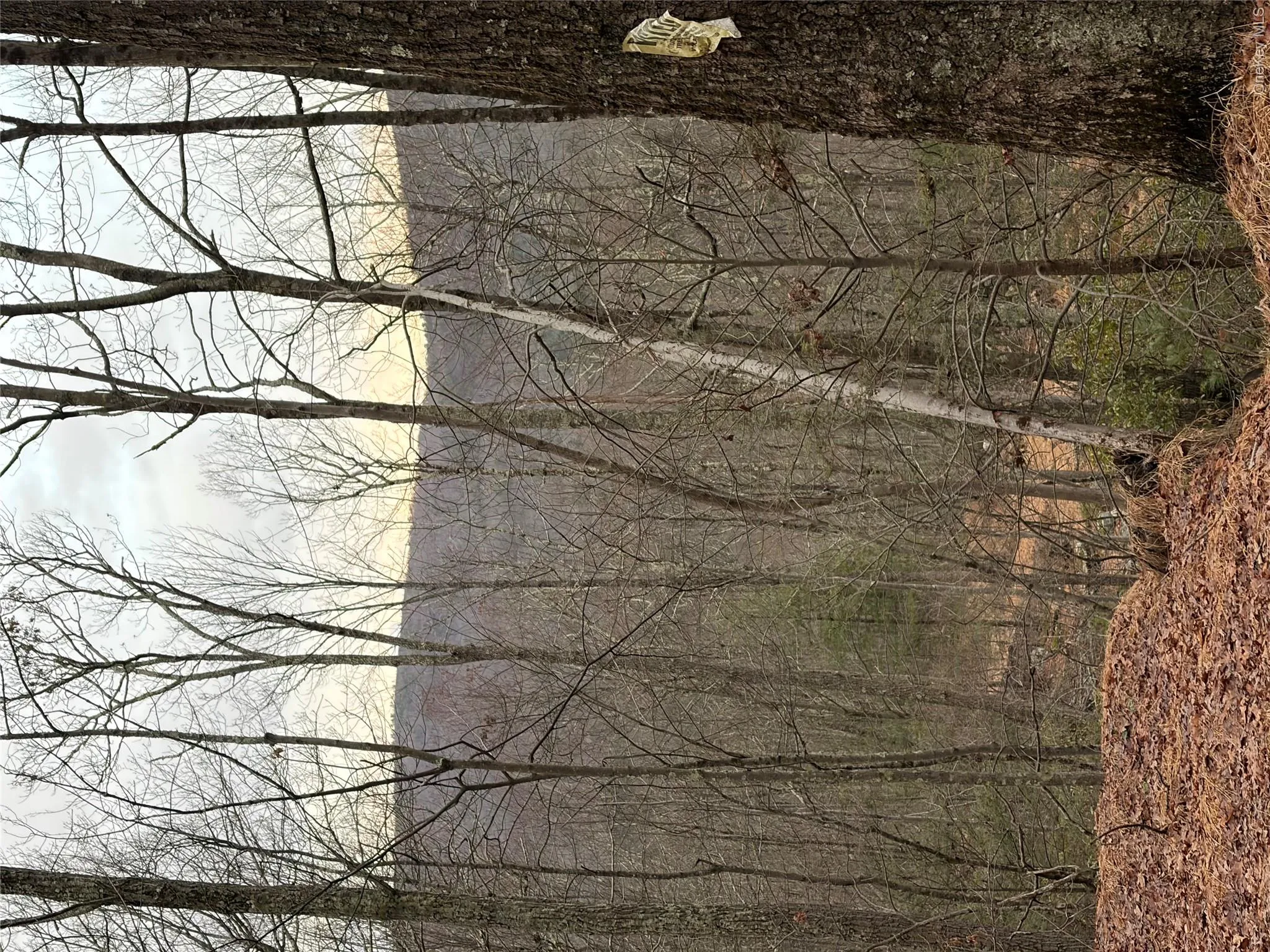 Allen Road, Mamakating, NY, ,Land,For Rent,Allen,0,952806 Allen Road, Mamakating, NY, ,Land,For Rent,Allen,0,952806