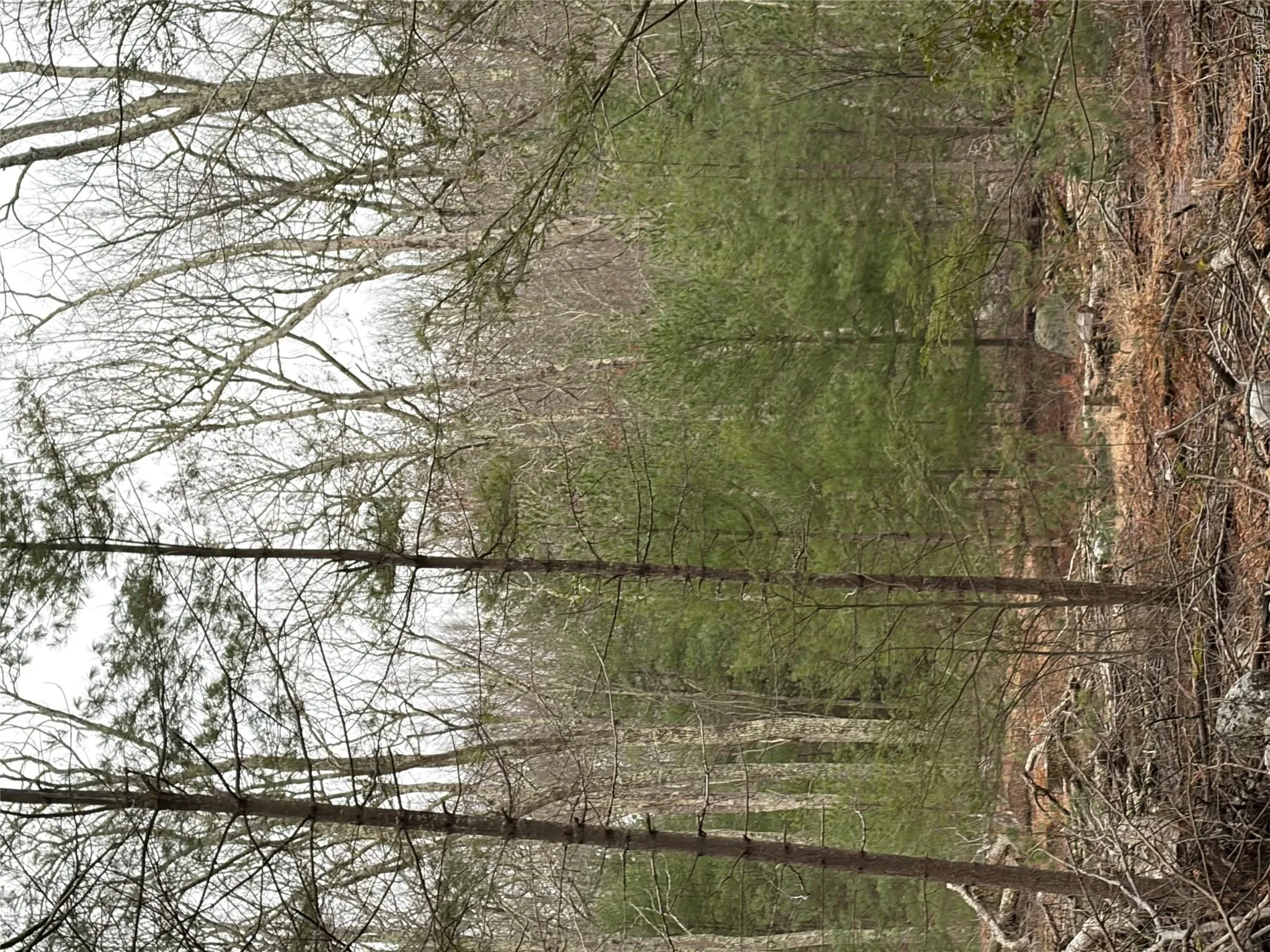 Allen Road, Mamakating, NY, ,Land,For Rent,Allen,0,952806 Allen Road, Mamakating, NY, ,Land,For Rent,Allen,0,952806