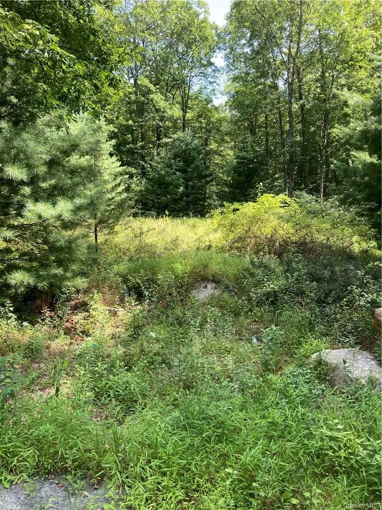 Allen Road, Mamakating, NY, ,Land,For Rent,Allen,0,952806 Allen Road, Mamakating, NY, ,Land,For Rent,Allen,0,952806