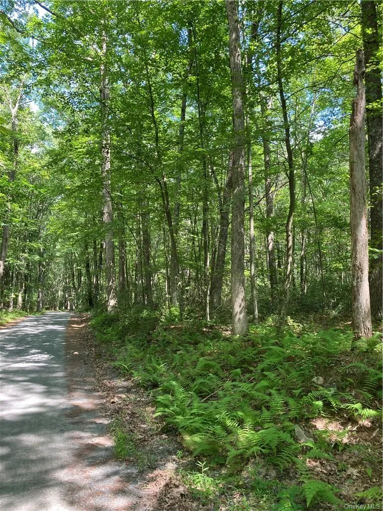 Allen Road, Mamakating, NY, ,Land,For Rent,Allen,0,952806 Allen Road, Mamakating, NY, ,Land,For Rent,Allen,0,952806