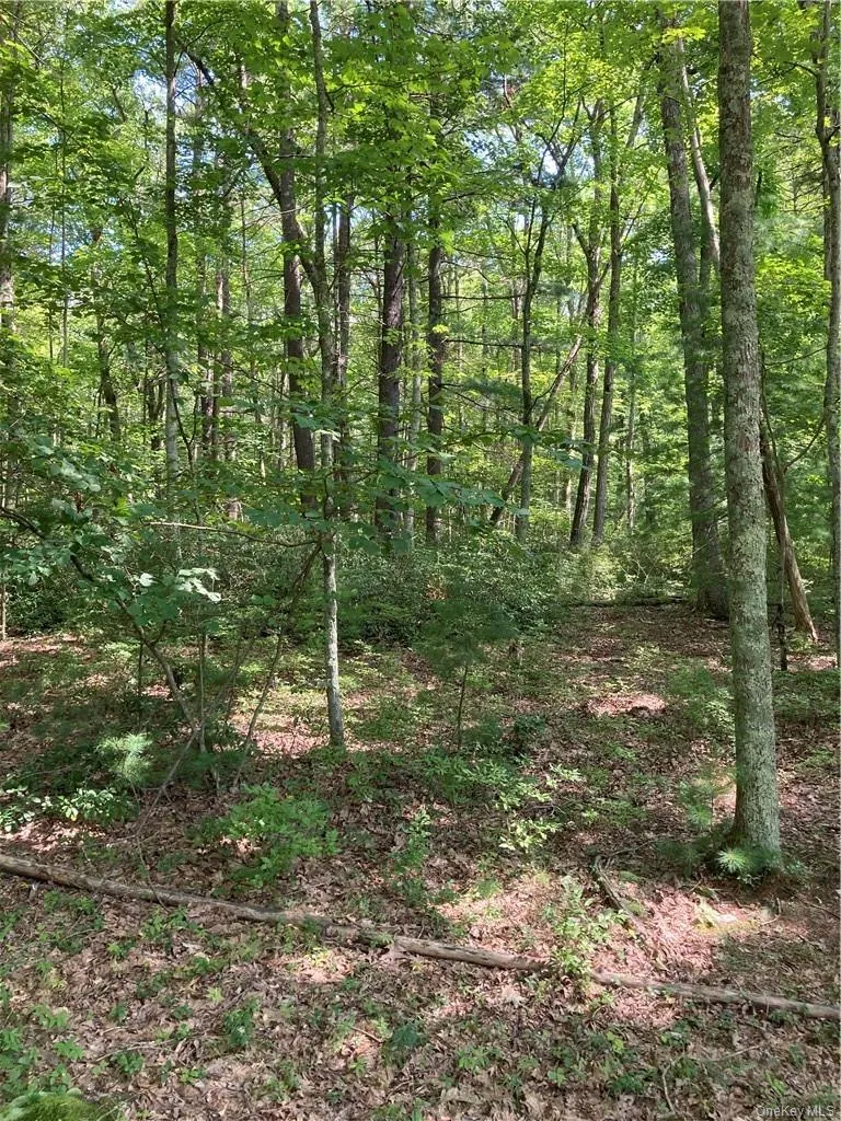 Allen Road, Mamakating, NY, ,Land,For Rent,Allen,0,952806 Allen Road, Mamakating, NY, ,Land,For Rent,Allen,0,952806