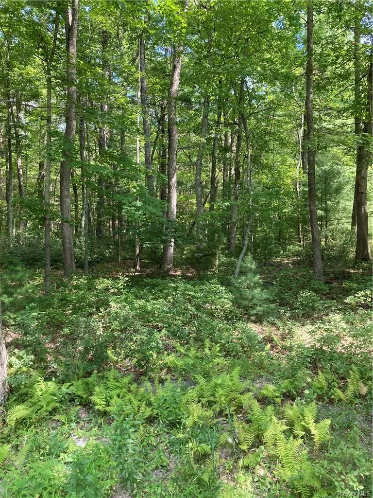 Allen Road, Mamakating, NY, ,Land,For Rent,Allen,0,952806 Allen Road, Mamakating, NY, ,Land,For Rent,Allen,0,952806