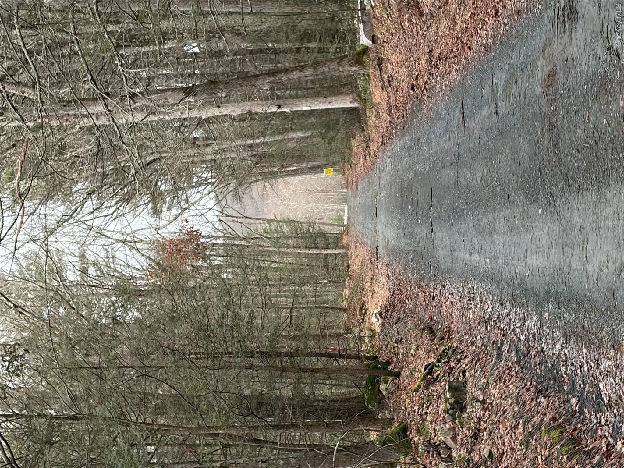 Allen Road, Mamakating, NY, ,Land,For Rent,Allen,0,952806 Allen Road, Mamakating, NY, ,Land,For Rent,Allen,0,952806