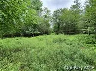790 Oak, Hancock, NY, ,Land,For Rent,Oak,0,952900 790 Oak, Hancock, NY, ,Land,For Rent,Oak,0,952900