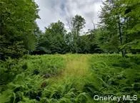 790 Oak, Hancock, NY, ,Land,For Rent,Oak,0,952900 790 Oak, Hancock, NY, ,Land,For Rent,Oak,0,952900
