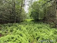 790 Oak, Hancock, NY, ,Land,For Rent,Oak,0,952900 790 Oak, Hancock, NY, ,Land,For Rent,Oak,0,952900