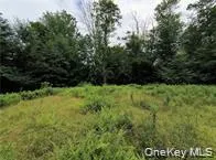 790 Oak, Hancock, NY, ,Land,For Rent,Oak,0,952900 790 Oak, Hancock, NY, ,Land,For Rent,Oak,0,952900