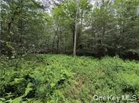 790 Oak, Hancock, NY, ,Land,For Rent,Oak,0,952900 790 Oak, Hancock, NY, ,Land,For Rent,Oak,0,952900