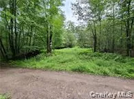 790 Oak, Hancock, NY, ,Land,For Rent,Oak,0,952900 790 Oak, Hancock, NY, ,Land,For Rent,Oak,0,952900