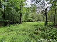 790 Oak, Hancock, NY, ,Land,For Rent,Oak,0,952900 790 Oak, Hancock, NY, ,Land,For Rent,Oak,0,952900