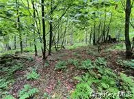 790 Oak, Hancock, NY, ,Land,For Rent,Oak,0,952900 790 Oak, Hancock, NY, ,Land,For Rent,Oak,0,952900