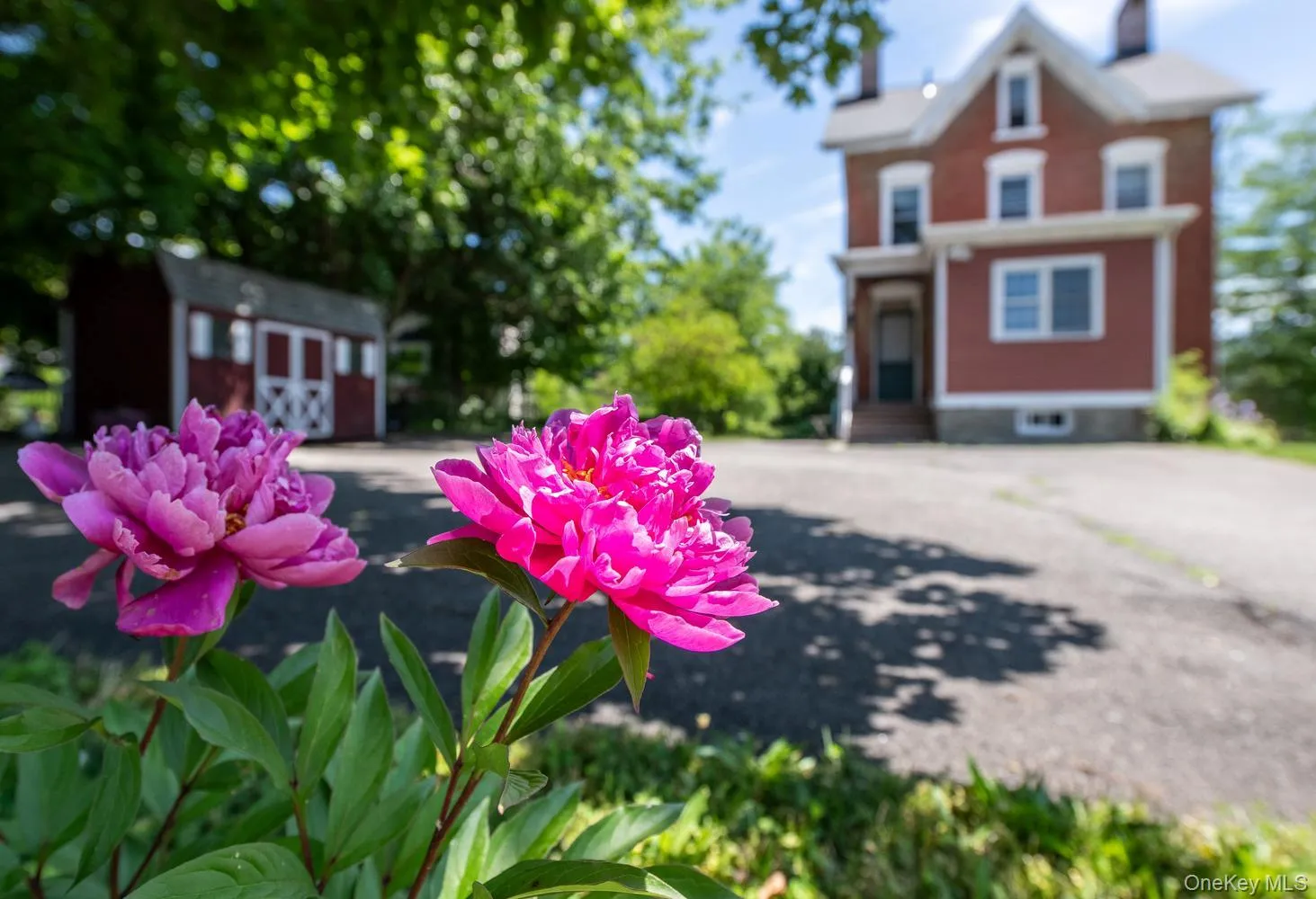 33 Cliff Street, Beacon, NY, 5 Bedrooms Bedrooms, 9 Rooms Rooms,1 BathroomBathrooms,Residential,For Rent,Cliff,0,952958 33 Cliff Street, Beacon, NY, 5 Bedrooms Bedrooms, 9 Rooms Rooms,1 BathroomBathrooms,Residential,For Rent,Cliff,0,952958