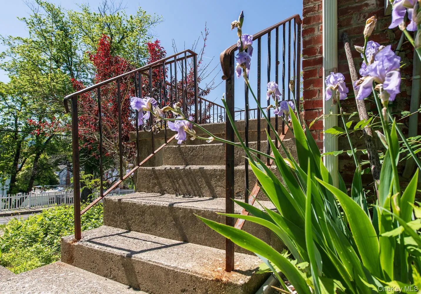 33 Cliff Street, Beacon, NY, 5 Bedrooms Bedrooms, 9 Rooms Rooms,1 BathroomBathrooms,Residential,For Rent,Cliff,0,952958 33 Cliff Street, Beacon, NY, 5 Bedrooms Bedrooms, 9 Rooms Rooms,1 BathroomBathrooms,Residential,For Rent,Cliff,0,952958