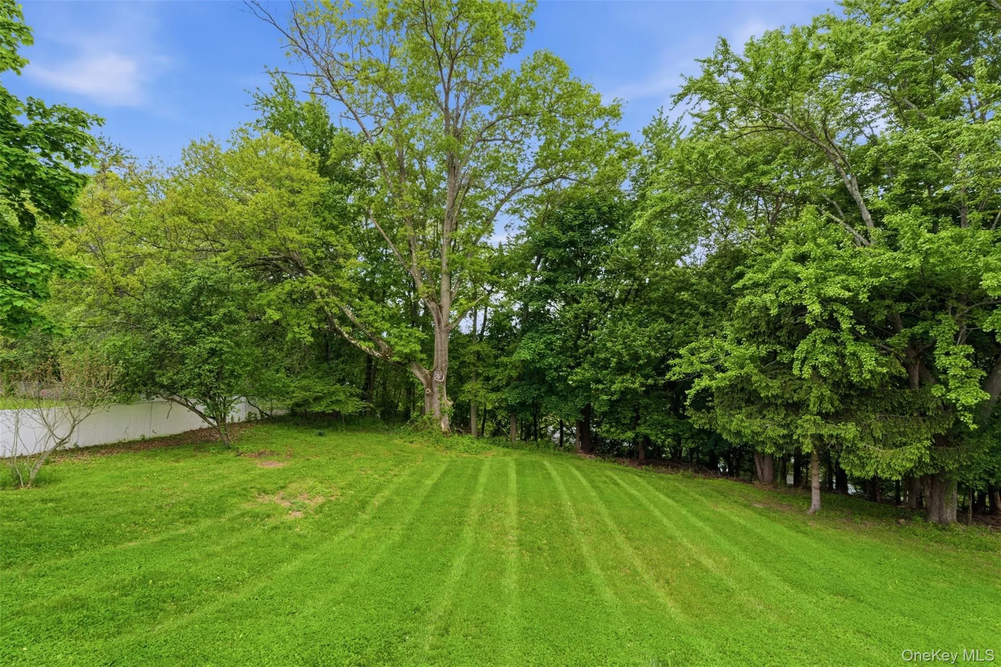 31 Top O Hill Road, Wappinger, NY, 3 Bedrooms Bedrooms, 9 Rooms Rooms,1 BathroomBathrooms,Residential,For Rent,Top O Hill,0,952965 31 Top O Hill Road, Wappinger, NY, 3 Bedrooms Bedrooms, 9 Rooms Rooms,1 BathroomBathrooms,Residential,For Rent,Top O Hill,0,952965