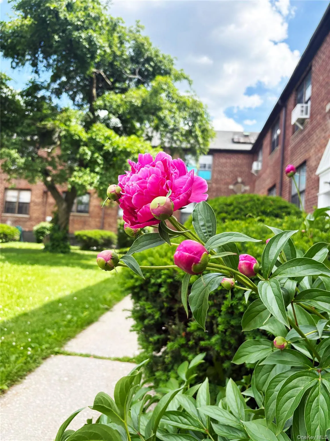 202-06 Rocky Hill Road, New York, NY, 1 Bedroom Bedrooms, 4 Rooms Rooms,1 BathroomBathrooms,Residential,For Rent,Rocky Hill,0,952999 202-06 Rocky Hill Road, New York, NY, 1 Bedroom Bedrooms, 4 Rooms Rooms,1 BathroomBathrooms,Residential,For Rent,Rocky Hill,0,952999