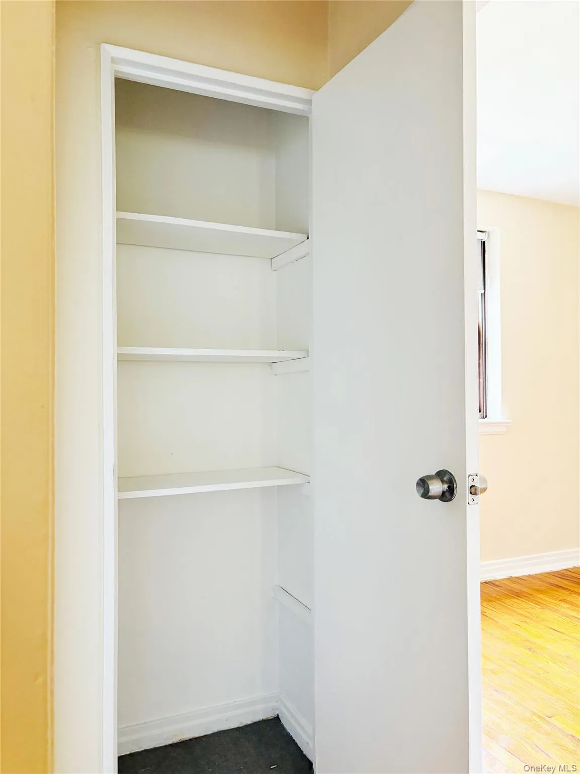 Built-in shelving unit with multiple shelves, white painted interior, and a single door with a dark-toned doorknob Built-in shelving unit with multiple shelves, white painted interior, and a single door with a dark-toned doorknob