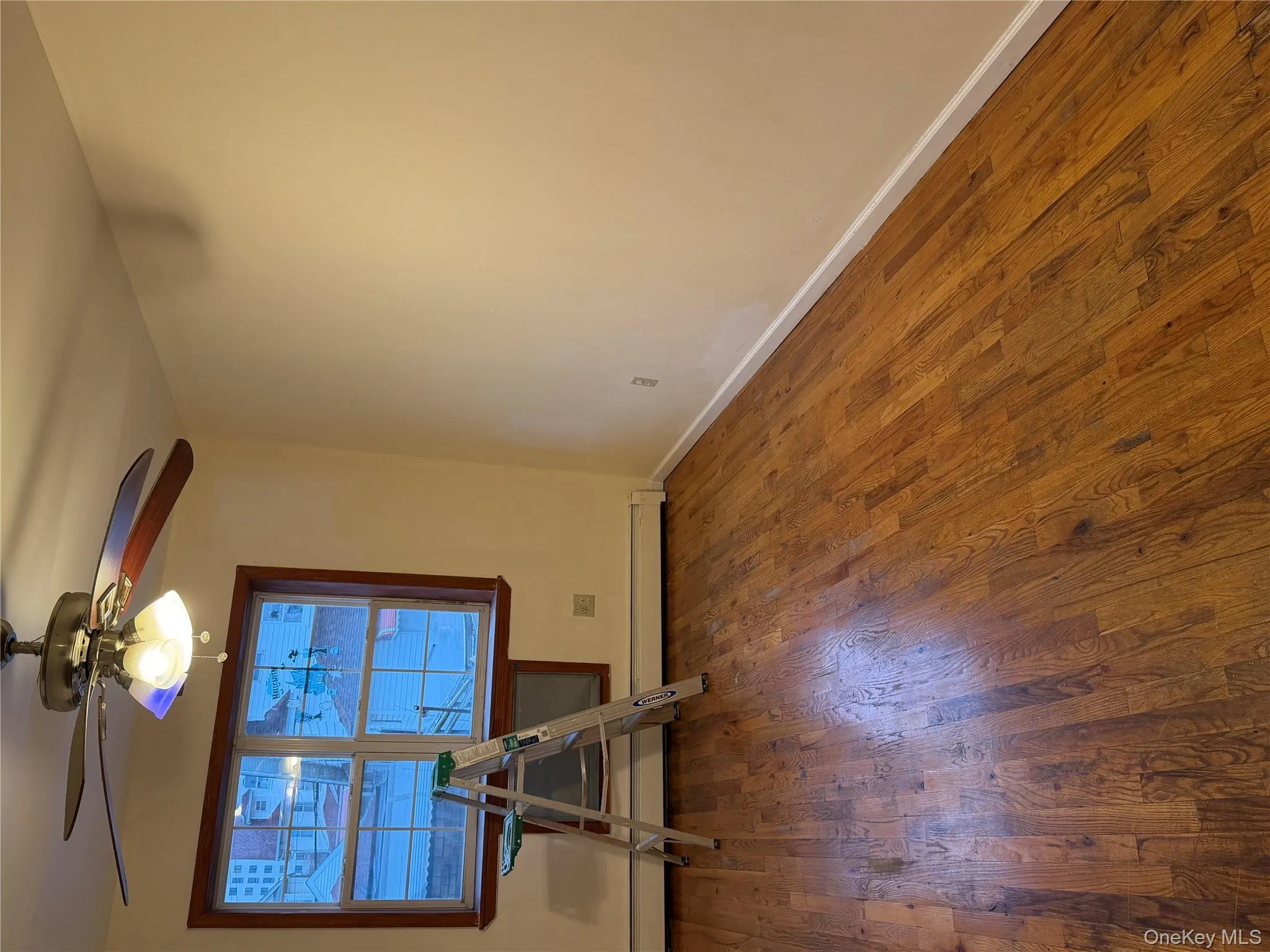 17207A 90th Avenue, New York, NY, 3 Bedrooms Bedrooms, 6 Rooms Rooms,2 BathroomsBathrooms,Residential Lease,Idx,90th,0,953037 17207A 90th Avenue, New York, NY, 3 Bedrooms Bedrooms, 6 Rooms Rooms,2 BathroomsBathrooms,Residential Lease,Idx,90th,0,953037