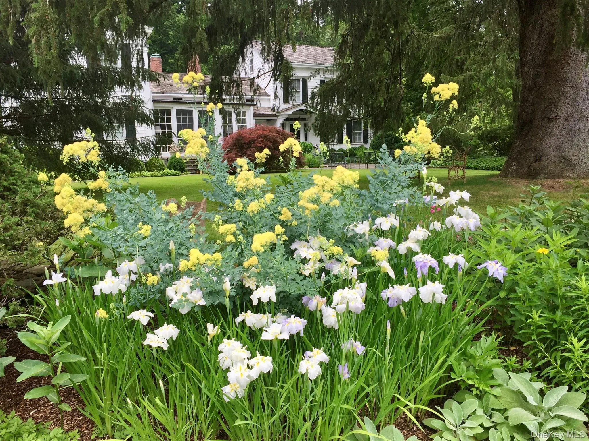 549 Croton Lake Road, Bedford, NY, 7 Bedrooms Bedrooms, 12 Rooms Rooms,4 BathroomsBathrooms,Residential,For Rent,Croton Lake,0,953077 549 Croton Lake Road, Bedford, NY, 7 Bedrooms Bedrooms, 12 Rooms Rooms,4 BathroomsBathrooms,Residential,For Rent,Croton Lake,0,953077