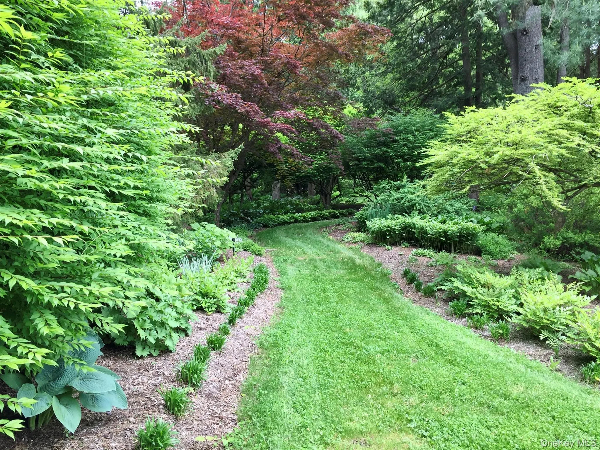 549 Croton Lake Road, Bedford, NY, 7 Bedrooms Bedrooms, 12 Rooms Rooms,4 BathroomsBathrooms,Residential,For Rent,Croton Lake,0,953077 549 Croton Lake Road, Bedford, NY, 7 Bedrooms Bedrooms, 12 Rooms Rooms,4 BathroomsBathrooms,Residential,For Rent,Croton Lake,0,953077